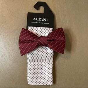 Alfani Bow Tie and Pocket Square Set